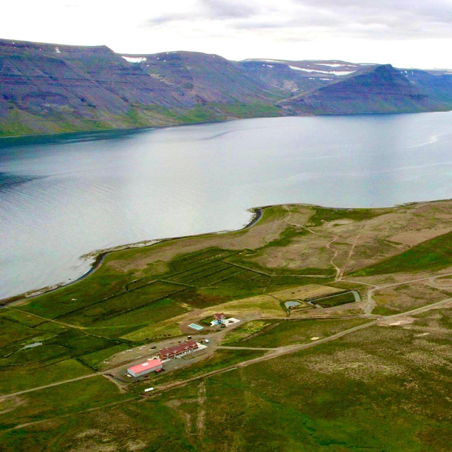 The Guesthouse At Dynjandi Falls Bíldudalur Exteriör bild